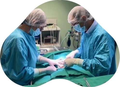 chirurgie-Clinique vétérinaire-Thorigne-Fouillard